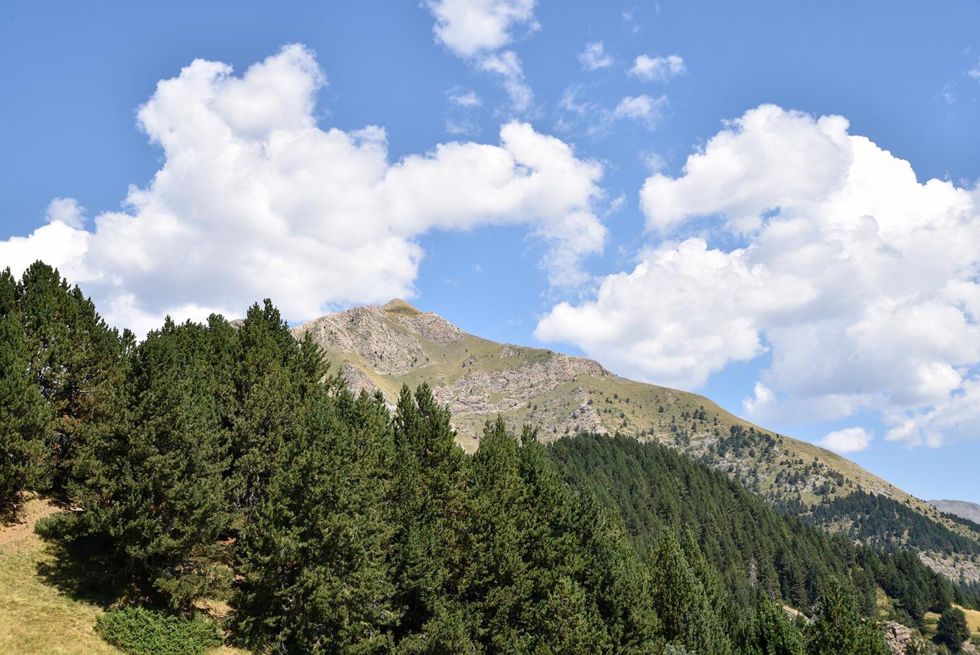 Nh Collection Andorra Palome Hotel Erts Exterior photo